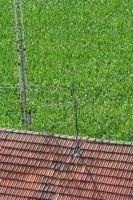 Sommerfest Baumberge 2010.1 606